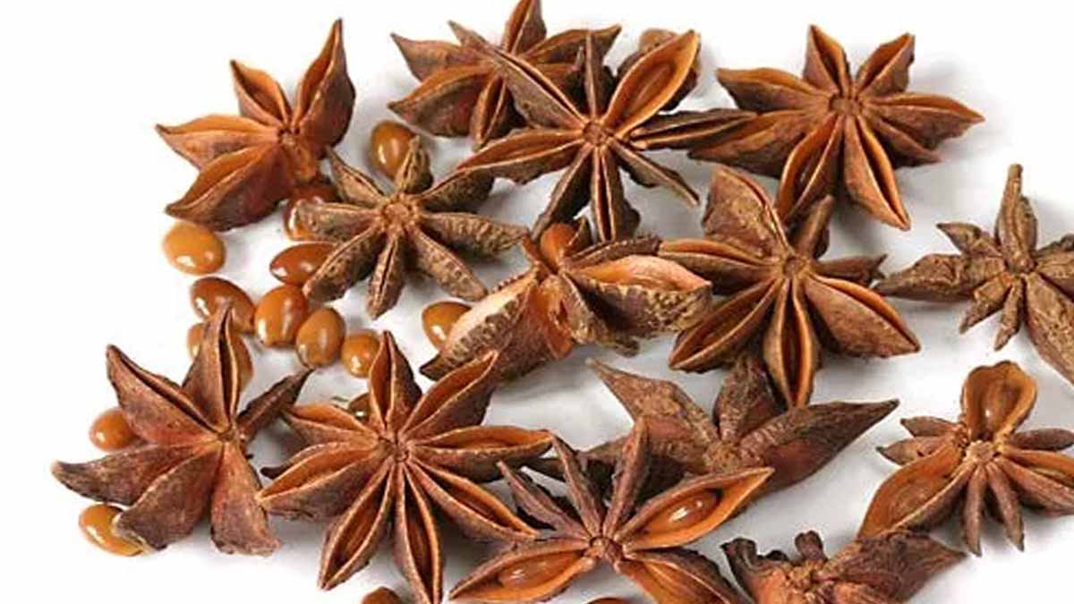 Health Experts Reveal the Nutritional Benefits of Star Anise
